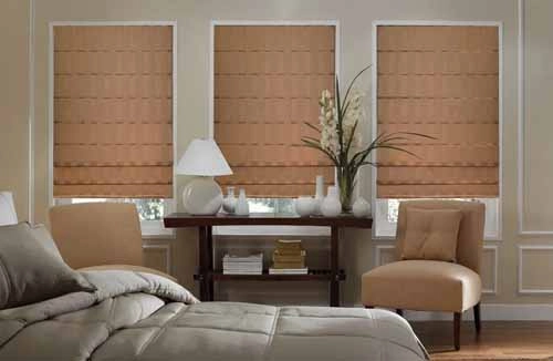 Elite Plain Pleated Roman Shades