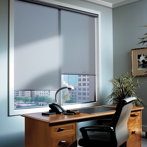 Blackout Roller Shades in Office
